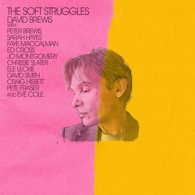 Brewis, David - Soft Struggles