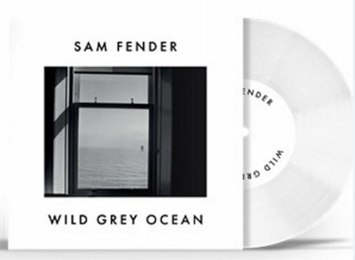 Sam Fender - Wild Grey Ocean / Little Bull of Blithe