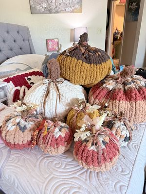 The pumpkin patch Large Pumpkin
