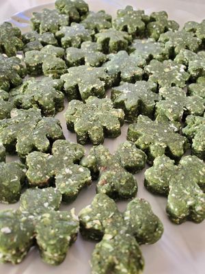 Green Fresh Bites