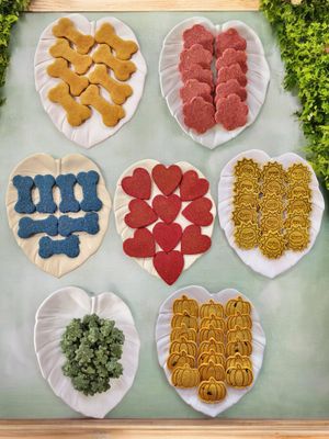 Eat the Rainbow Mixed Pack