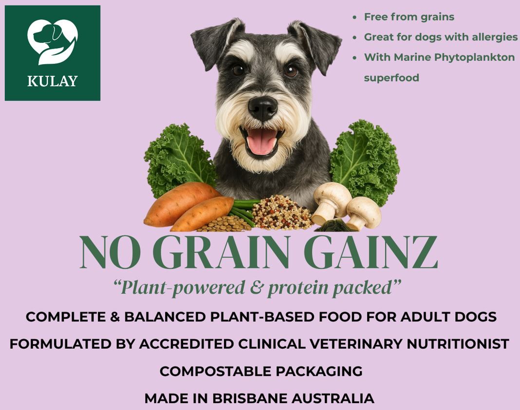 No Grain Gainz
