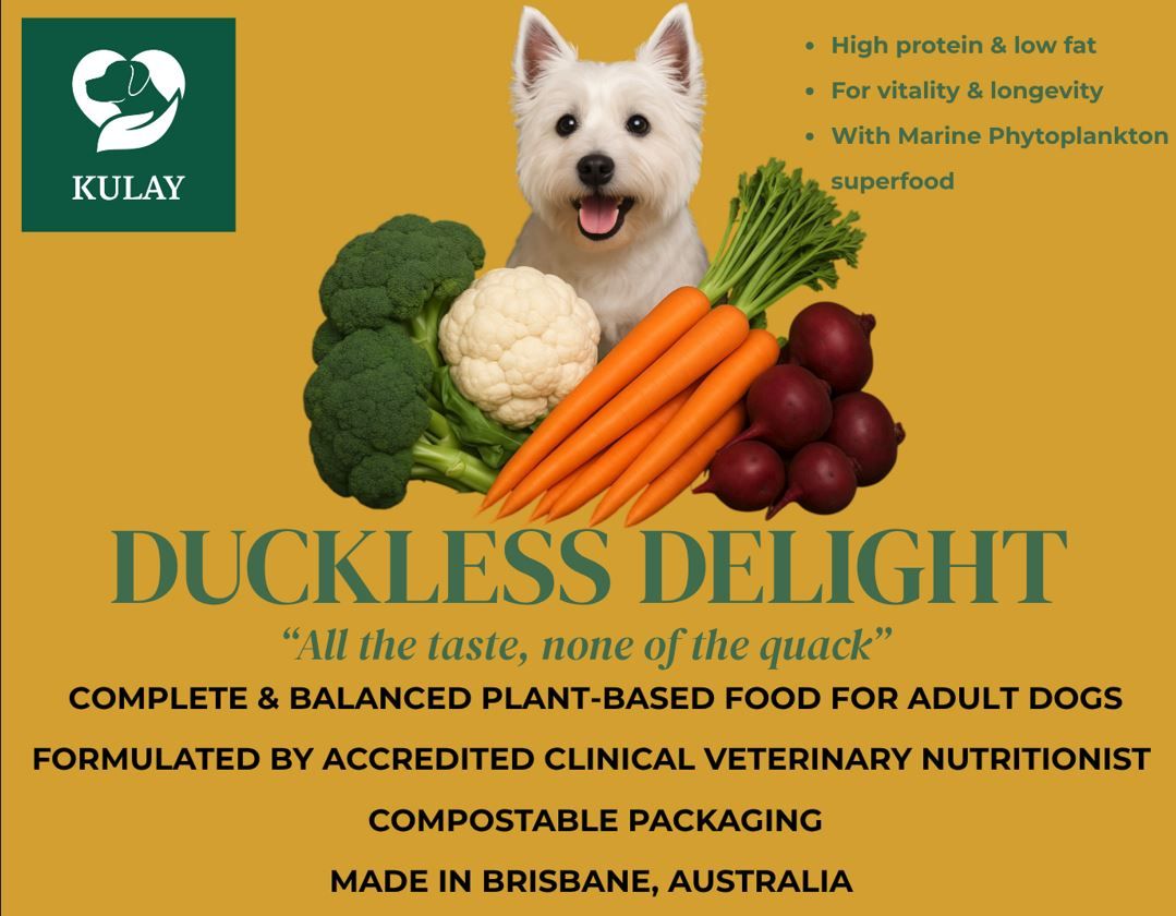 Duckless Delight