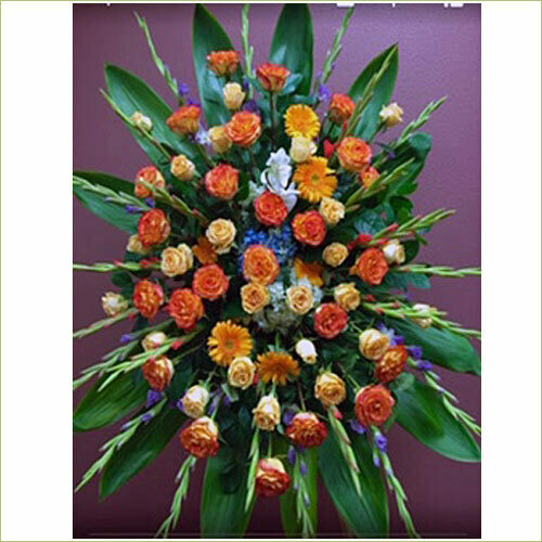Sympathy Roses