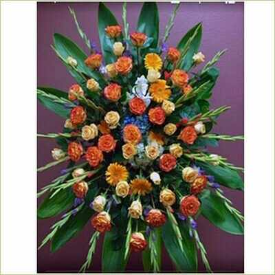 Sympathy Roses