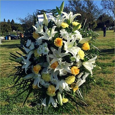 Pearls of Remembrance
