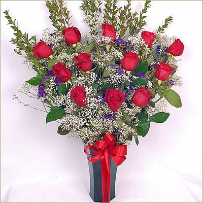 Red Love Roses (Colombian Roses)
