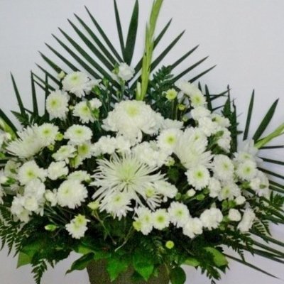 Pom Pom Sympathy Pot