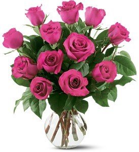 Hot Pink Roses