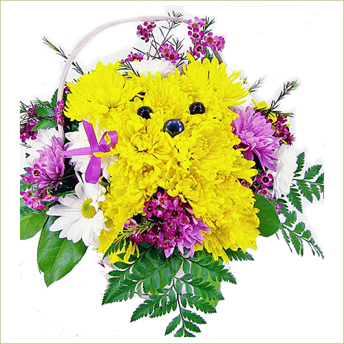 Yellow Doggie