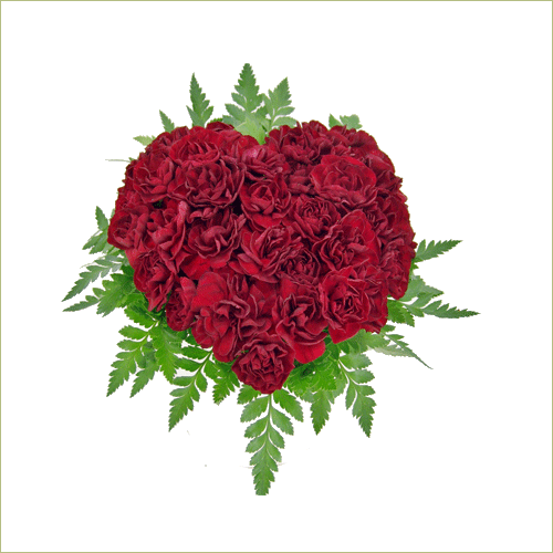 Love’s Blossom
