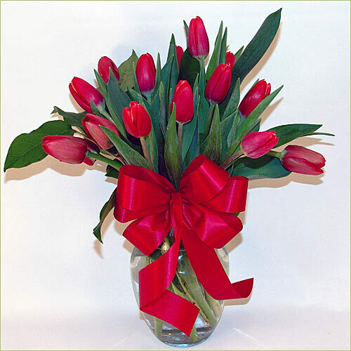 Tulip Craze