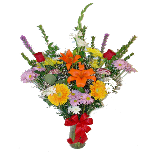 Cornucopia of Color