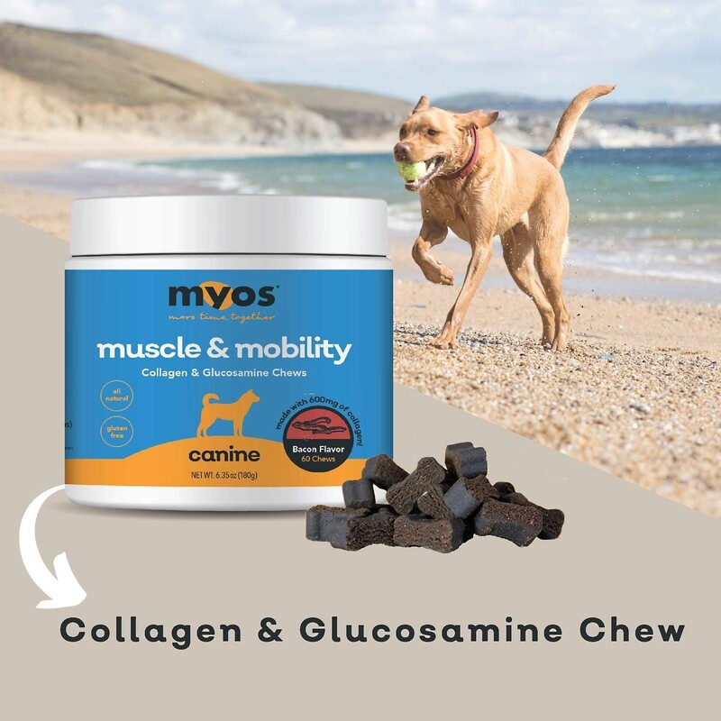 MYOS Canine Muscle &amp; Mobility Chews