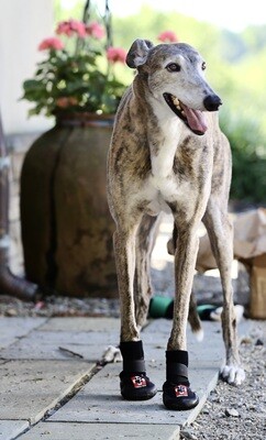 THERA-PAW BOOT (QUICK ORDER)