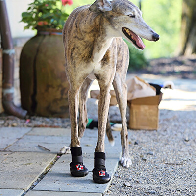THERA-PAW BOOT (VP)
