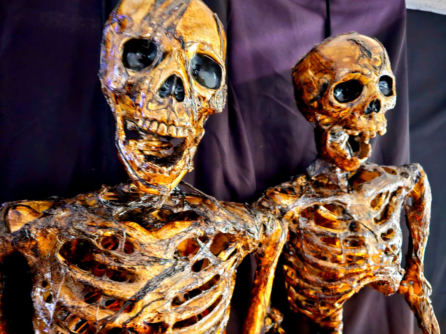 Corpsed Skeleton