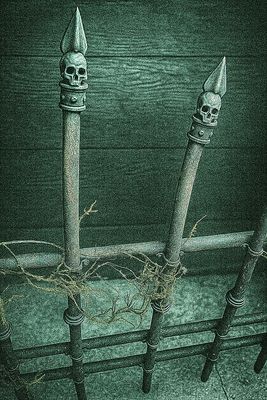 Halloween Fencing *Many options available* Starting at $700 -Ask for a quote*