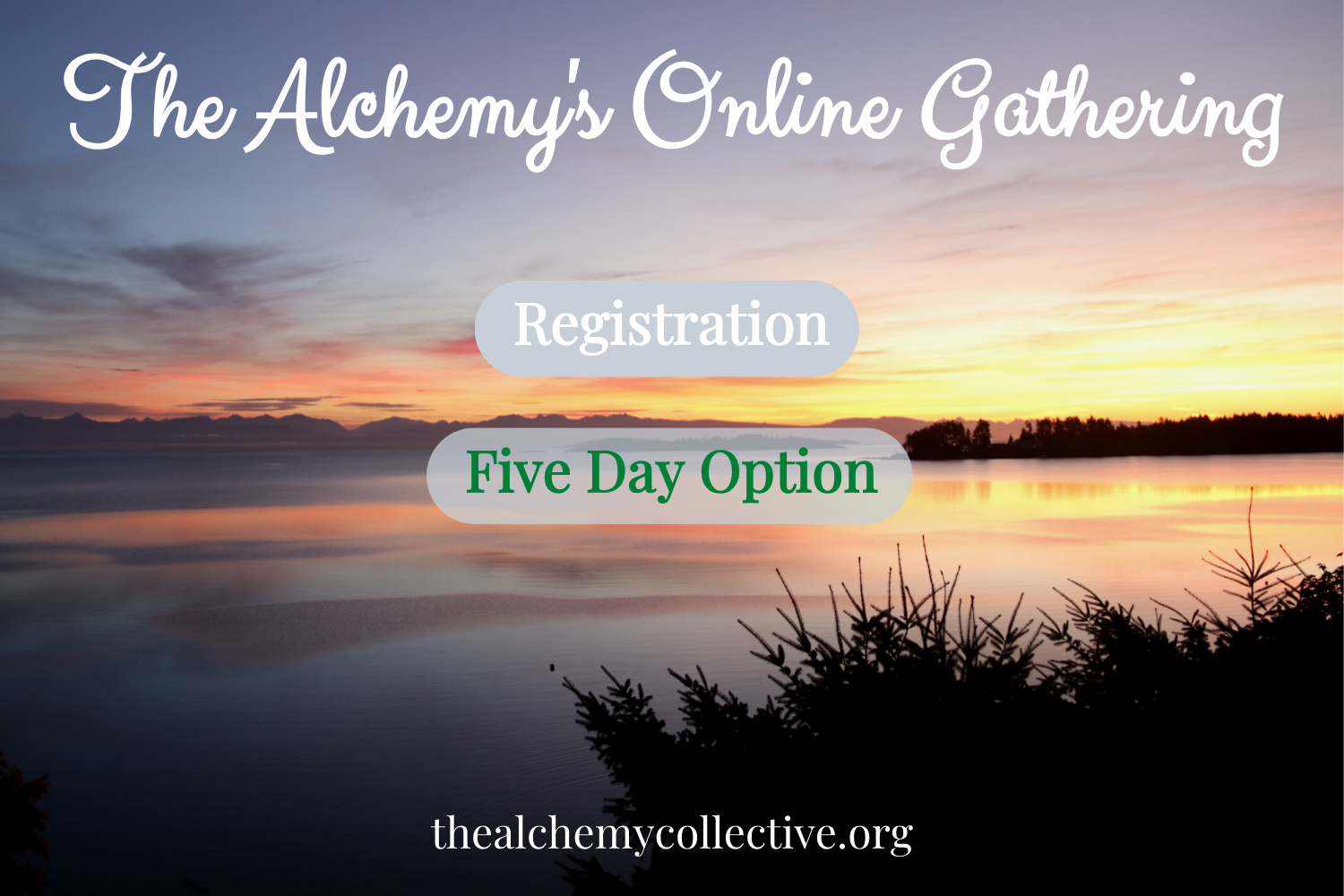 Gathering Registration Fee for Online Attendees - Half Payment