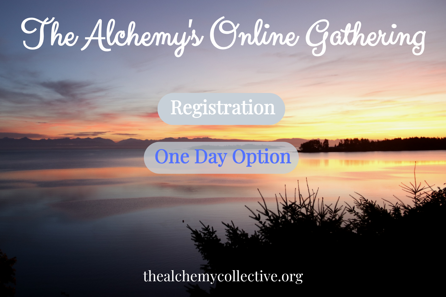 Gathering Registration Fee for 1 Day Online Attendees