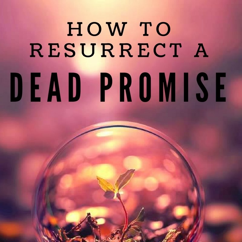 How to Resurrect a Dead Promise - Pastor Ben White