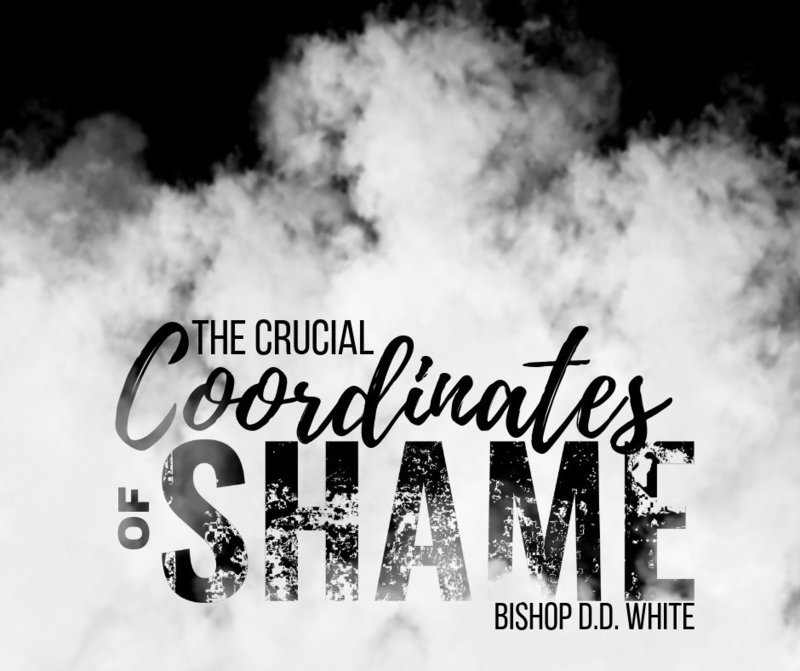 The Crucial Coordinates of Shame - Bishop D.D. White