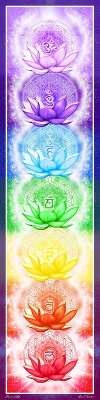 Chakra Banner Sticker  ~  2.5&quot; x 10&quot;