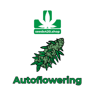 AUTOFLOWERING