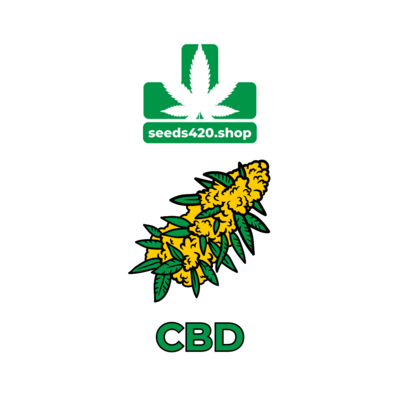 CBD