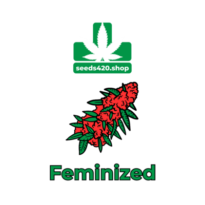 FEMINIZED