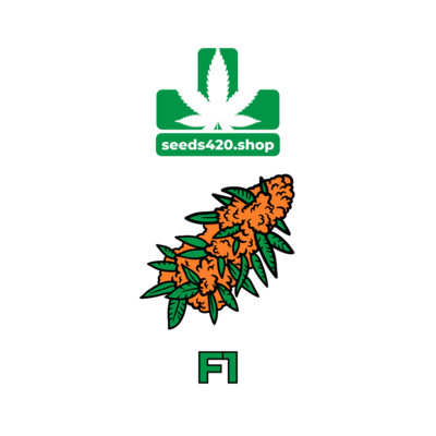 F1 HYBRIDS