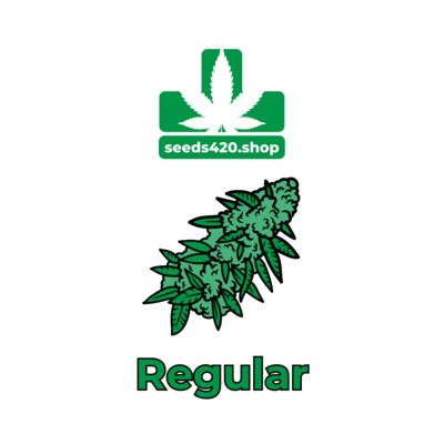 REGULAR