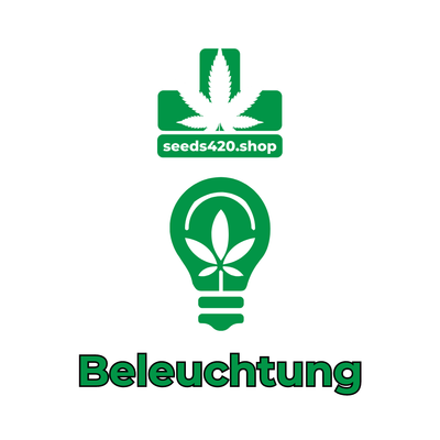 BELEUCHTUNG