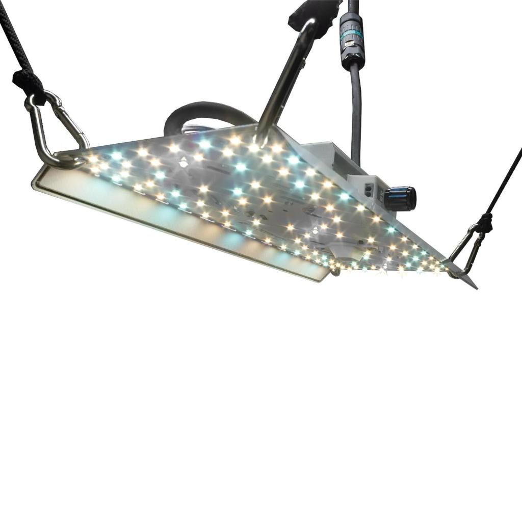 BloomStar FLUXshield Habibi 140 - 50W Wachstum