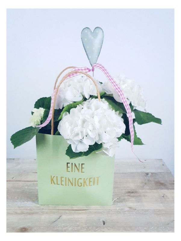 Hortensie im Topf in einer schicken Papiertüte Hortensie im Topf in einer schicken Papiertüte "Eine Kleinigkeit" verpackt