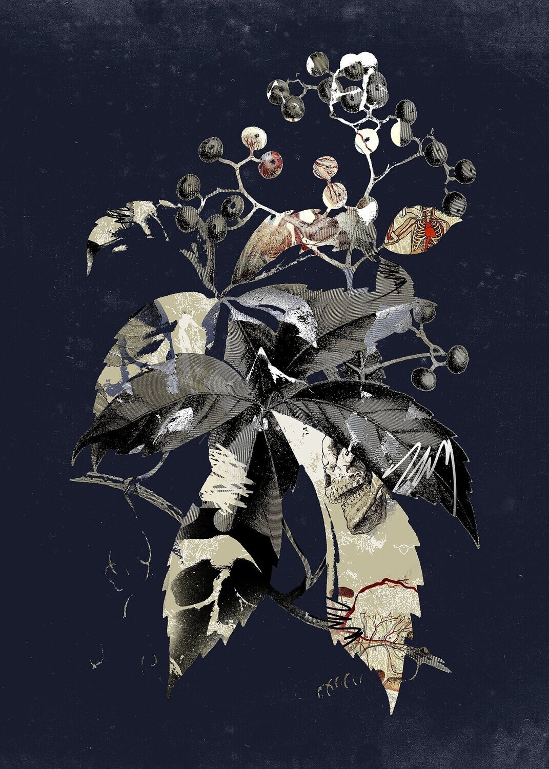 BOTANICAL DARK LEAVES