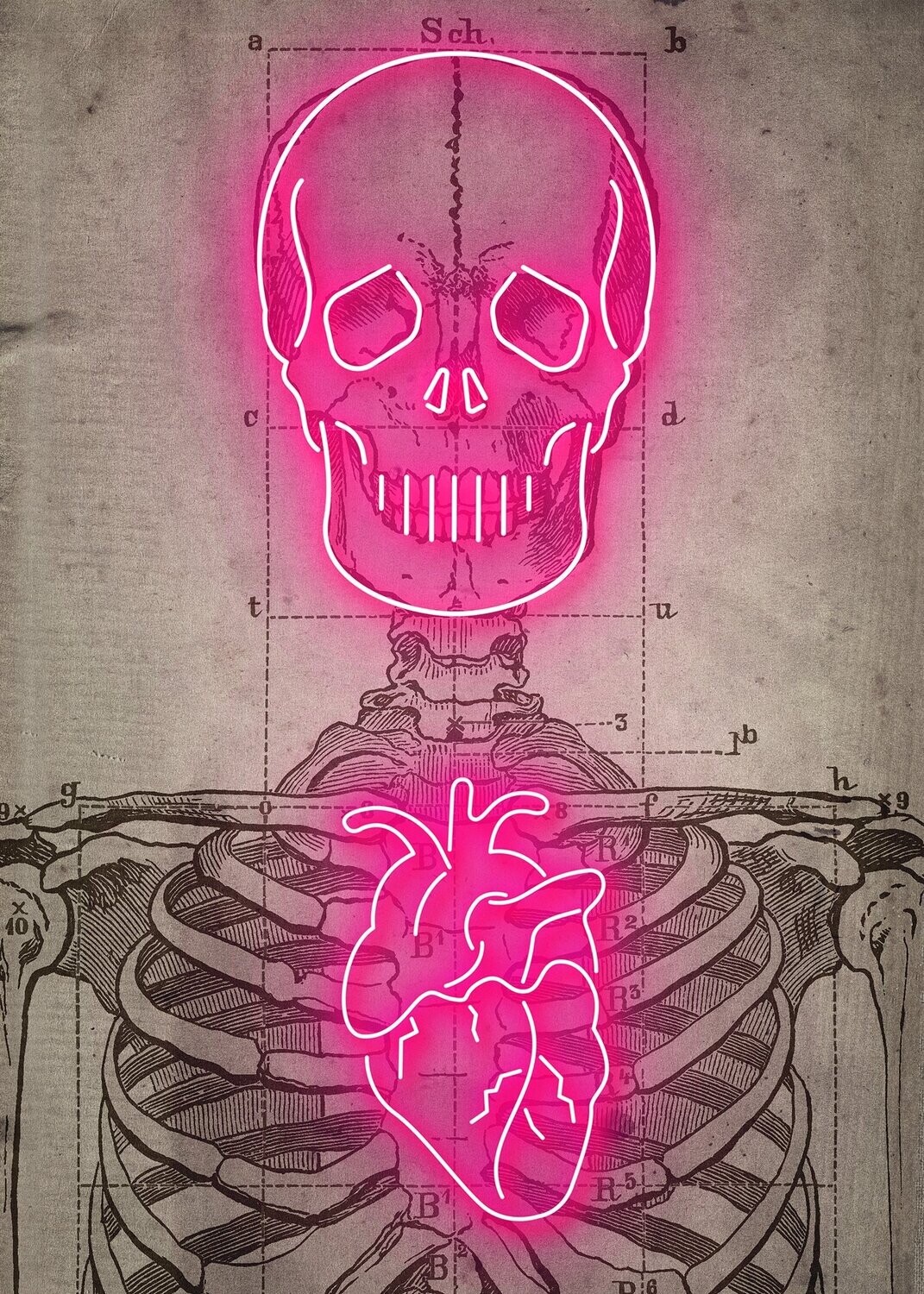 SKELETON NEON PRINT