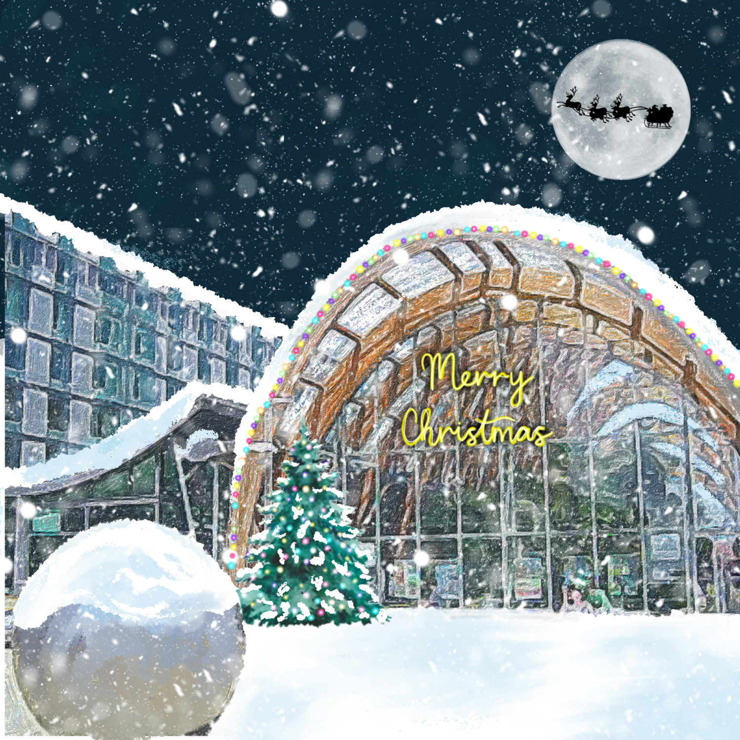 Sheffield Winter gardens.