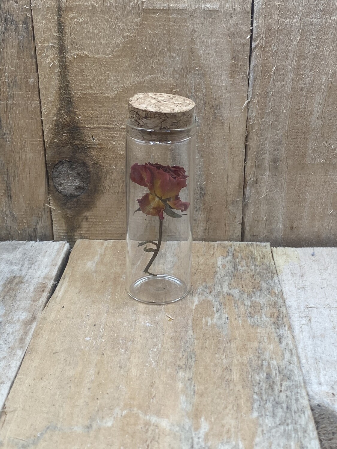 Peachy small flower tube