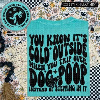 You Know It's Cold Outside When You Trip Over Dog Poop Instead of Stepping in it