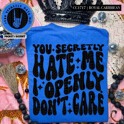 You Secretly Hate Me I Openly Don't Care You Secretly Hate Me I Openly Don't Care