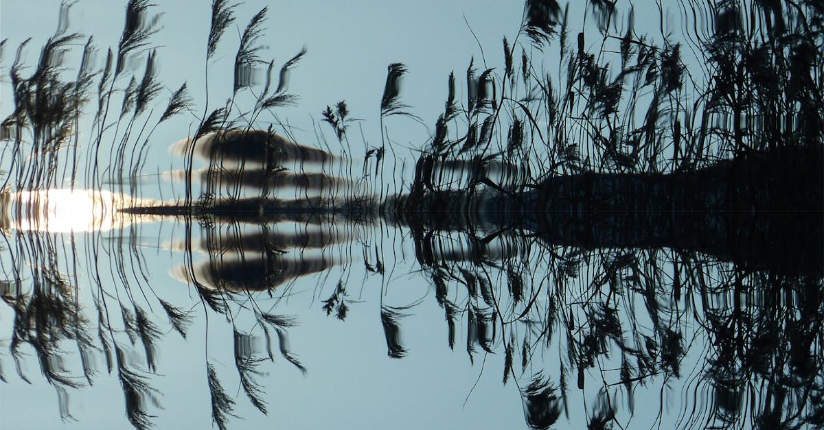 Still Waters, Strong Winds Virtual Retreat