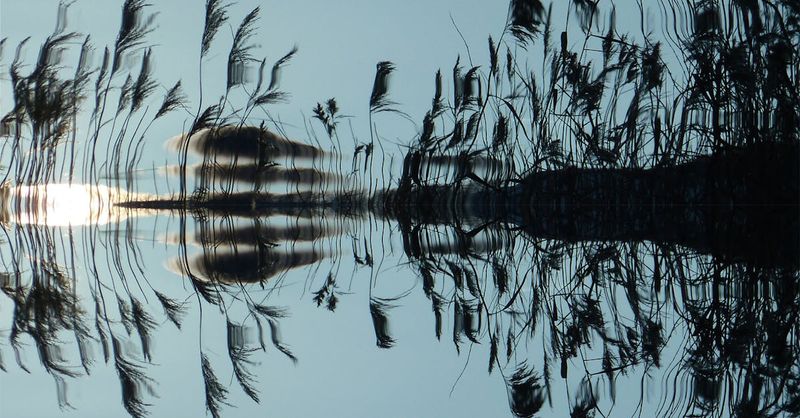Still Waters, Strong Winds Virtual Retreat