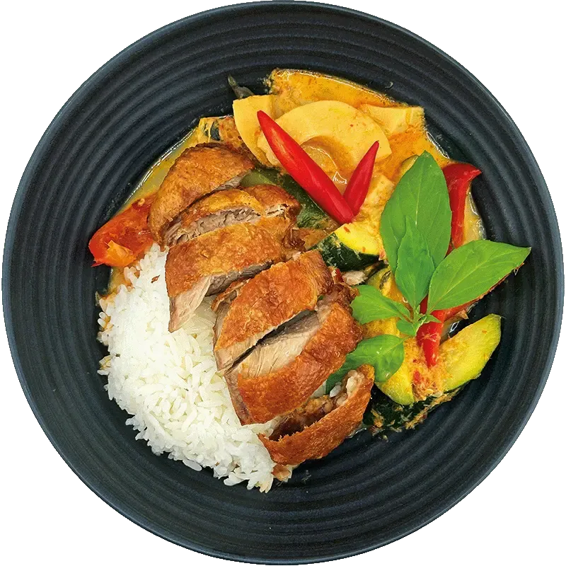 Red Curry with duck and rice