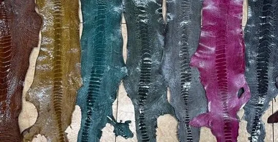 OSTRICH LEG A+