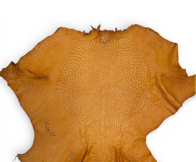 OSTRICH LEATHER - جلد النعام