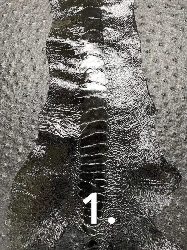 OSTRICH LEG A+