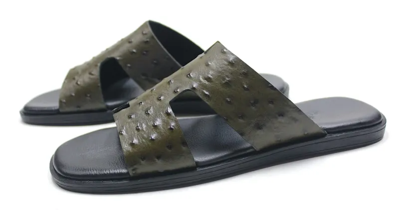 BRISTONI 2798