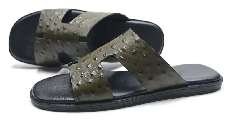 BRISTONI 2798
