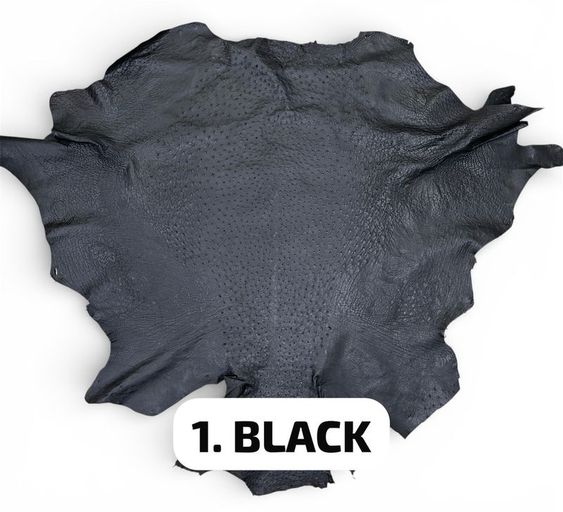 Real Ostrich Colors - الوان جلد النعام